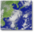 20050718_typhoon.gif